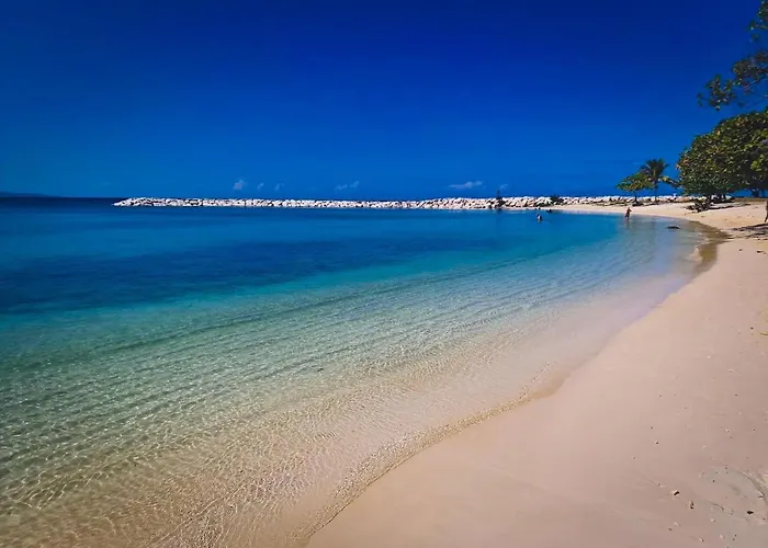 The Bloom - Oceanfront King Montego Bay